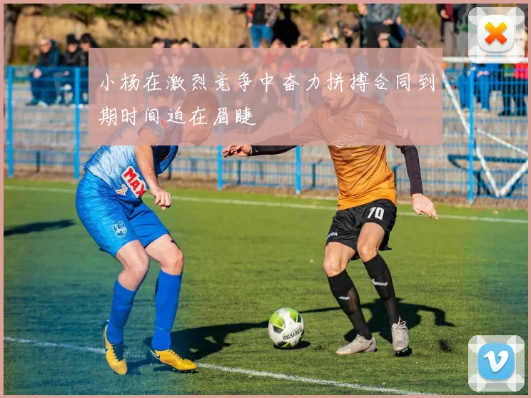 小杨在激烈竞争中奋力拼搏合同到期时间迫在眉睫