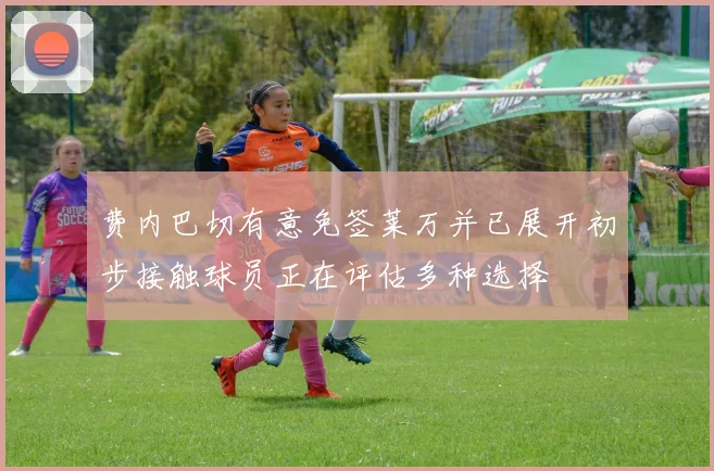 费内巴切有意免签莱万并已展开初步接触球员正在评估多种选择