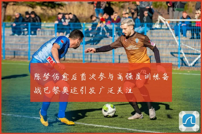 陈梦伤愈后首次参与高强度训练备战巴黎奥运引发广泛关注