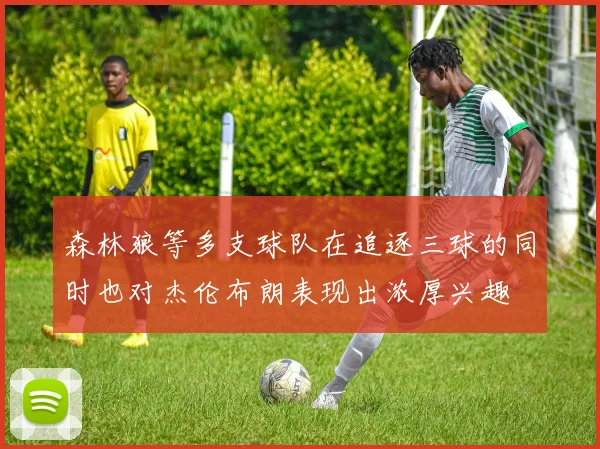森林狼等多支球队在追逐三球的同时也对杰伦布朗表现出浓厚兴趣