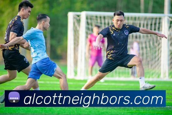 奖项图1